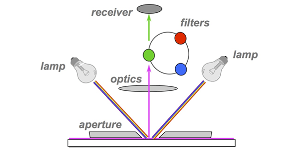 what does a spectrophotometer measure