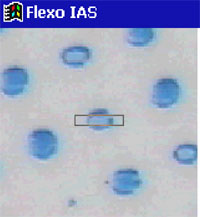 FlexoIAS-FigB