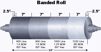 Banded Roll