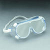3M Model 1621 Safety Goggles