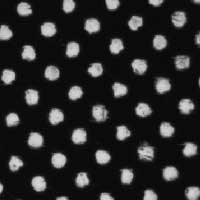 Digiflex Inkjet - 10% dot