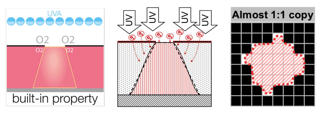 Flat Top Plate Dots